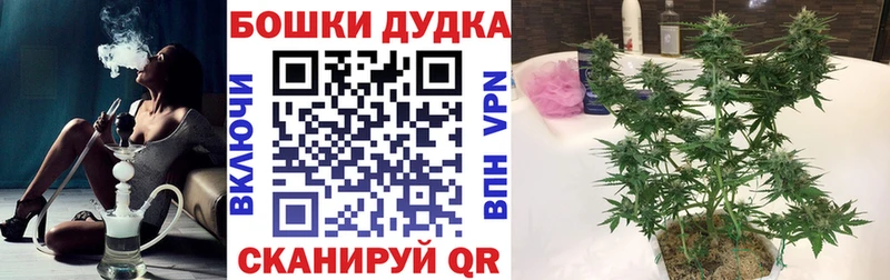 Магазин наркотиков Сураж APVP  COCAIN  Галлюциногенные грибы  ГАШ  Мефедрон 