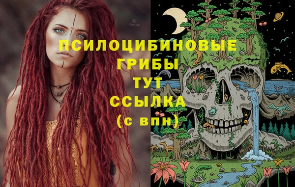 шишки Тутаев