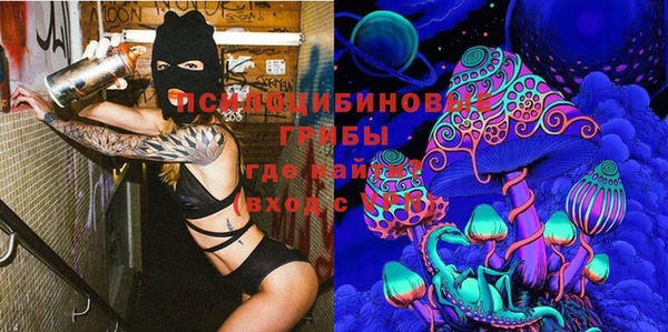 меф VHQ Дмитриев