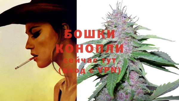 меф VHQ Дмитриев