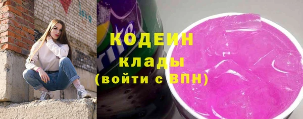 мдпв Елизово