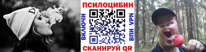 закладки  Сураж  гидра вход  Псилоцибиновые грибы мицелий 